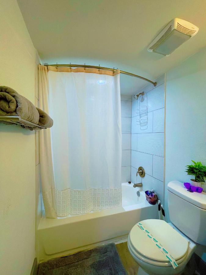 Modern Santorini Suite Houston Nrg Tmc Luxurious Walkable Eksteriør billede